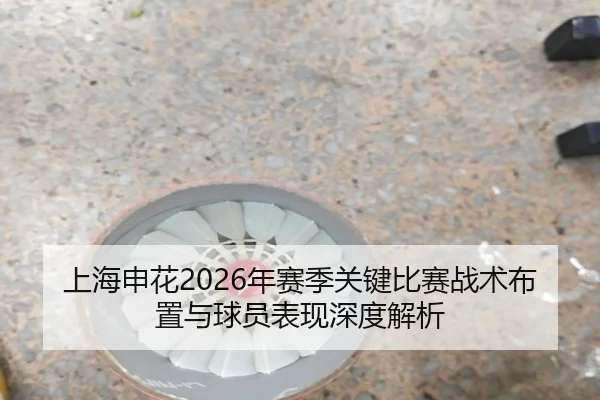 上海申花2026年赛季关键比赛战术布置与球员表现深度解析